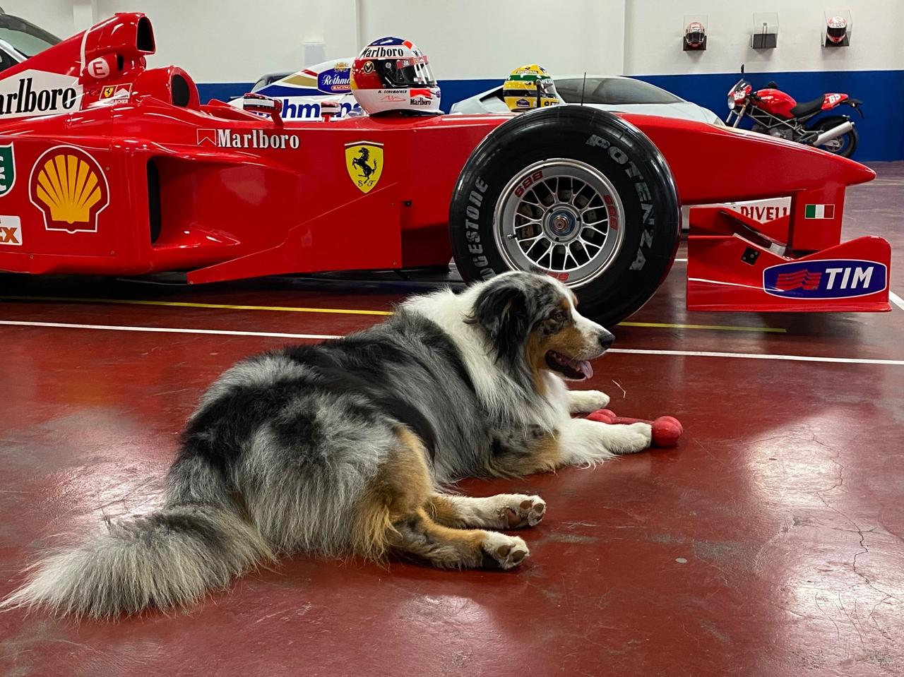 Ferrari Purosangue - A LISTINO - LEASING