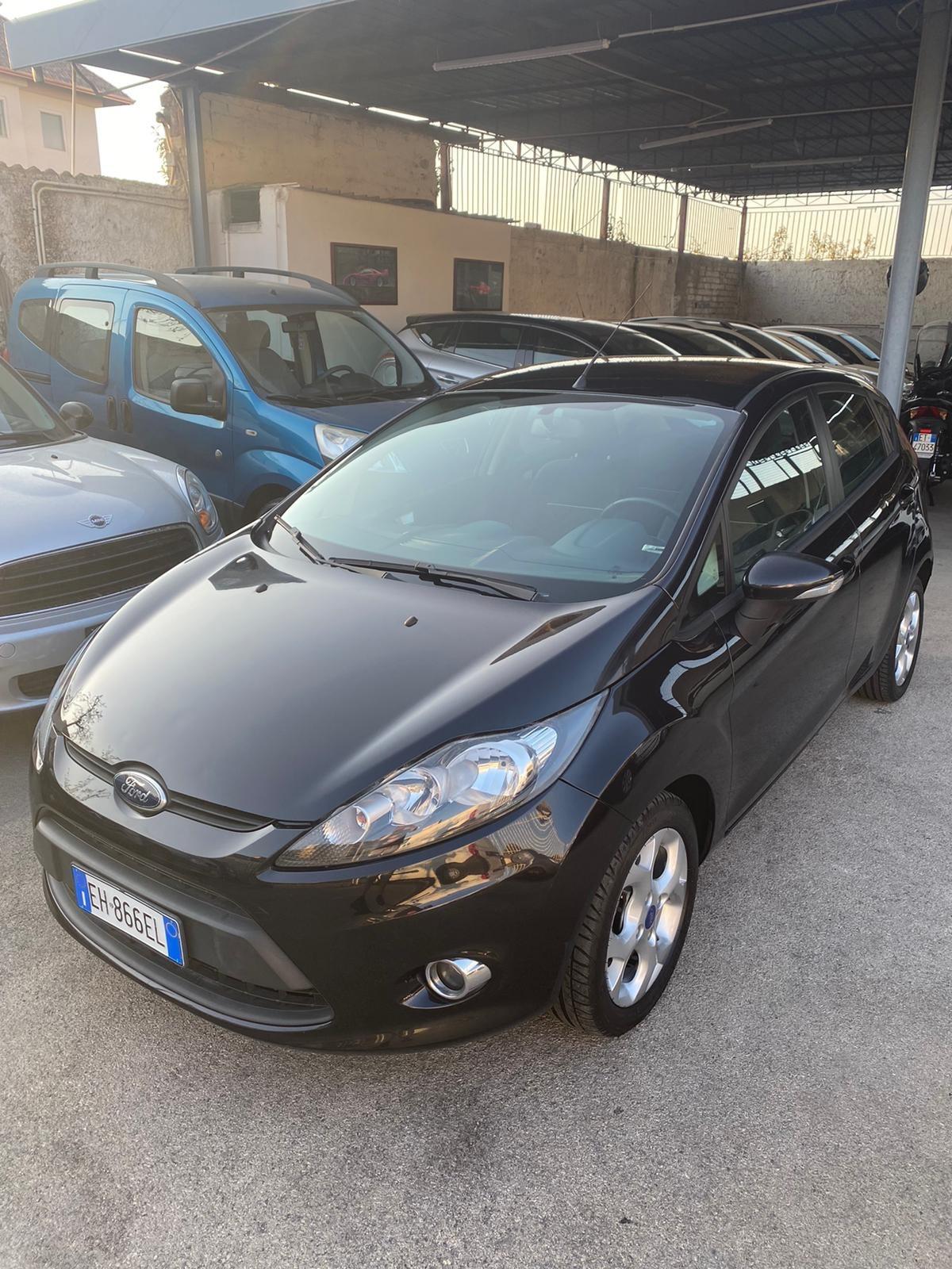 Ford Fiesta 1.4 TDCI Anno 2012 Tagliandata