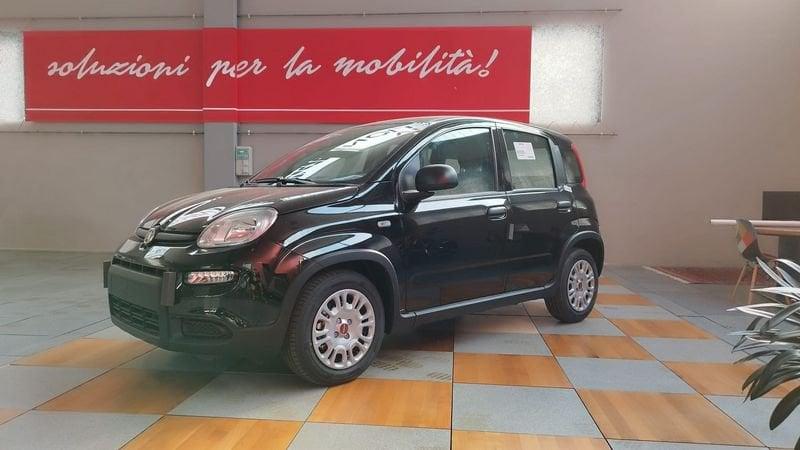 FIAT Panda FIAT Pandina III 2025 CREA IL TUO PREZZO !!DA € 9950