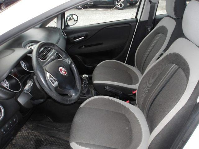 FIAT Punto 1.2 8V 5p Lounge NEOPATENTATI