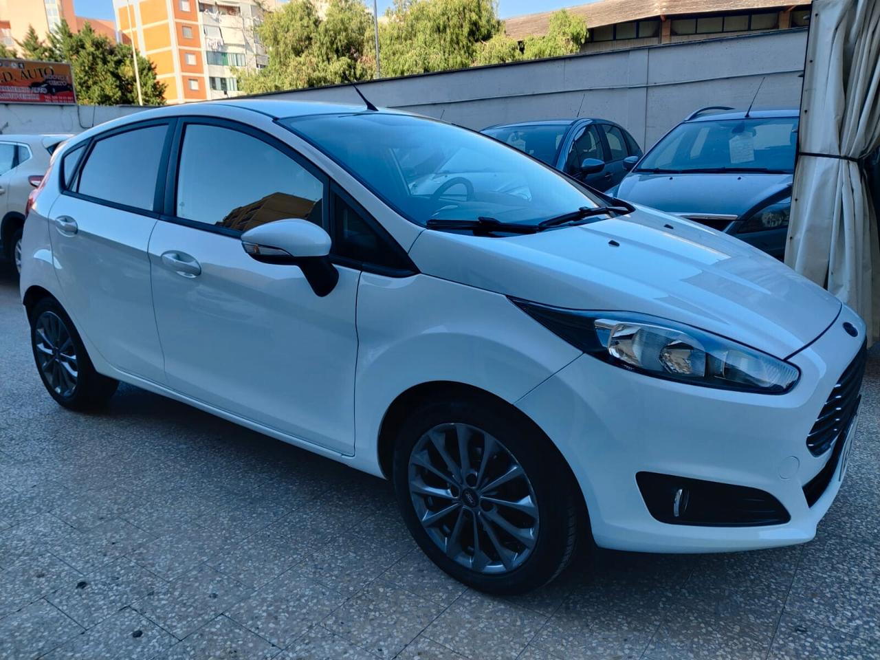 Ford Fiesta 1.5 TDCi 75CV 5 porte Black & White Edition