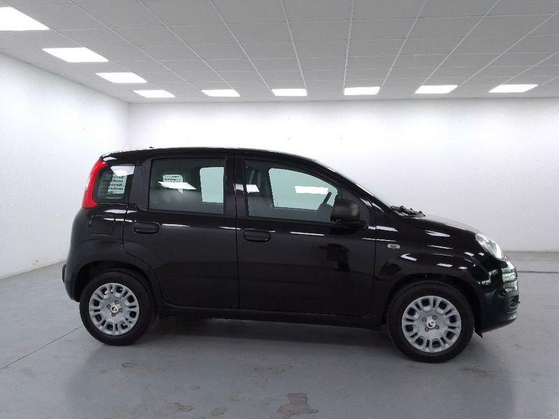 FIAT Pandina 1.0 firefly hybrid Icon s e s 70cv 5p.ti