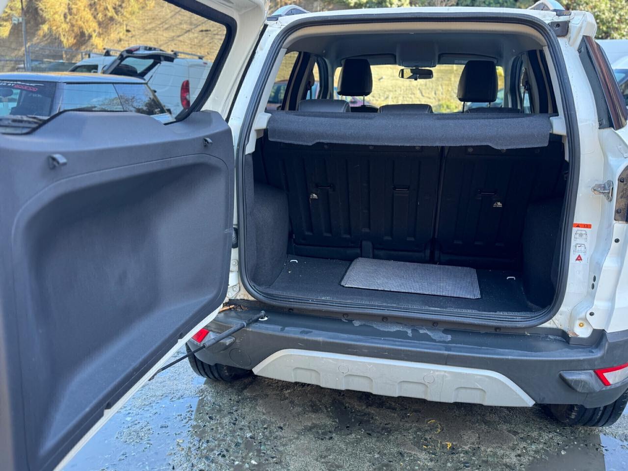 Ford EcoSport 1.0 benzina 125 CV Titanium 2017