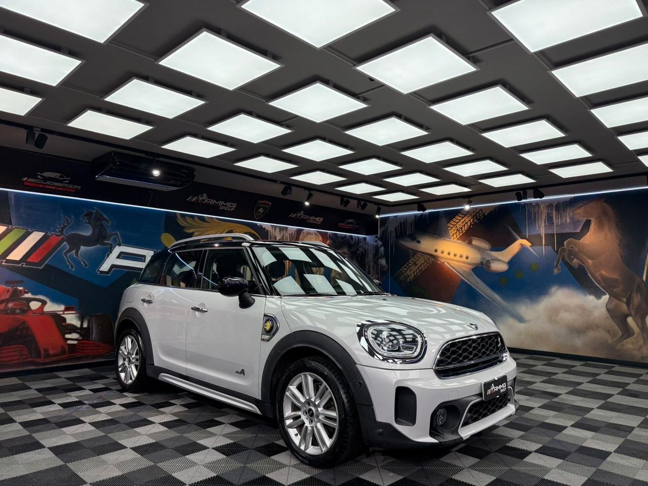 Mini Cooper 1.5 Countryman SE Hype ALL4 Automatica (314)