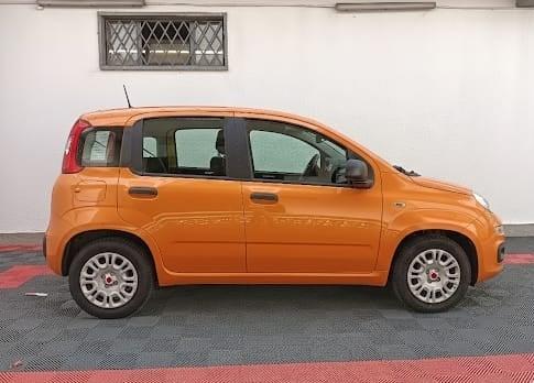 FIAT Panda 3ª serie Panda 1.0 FireFly S&S Hybrid