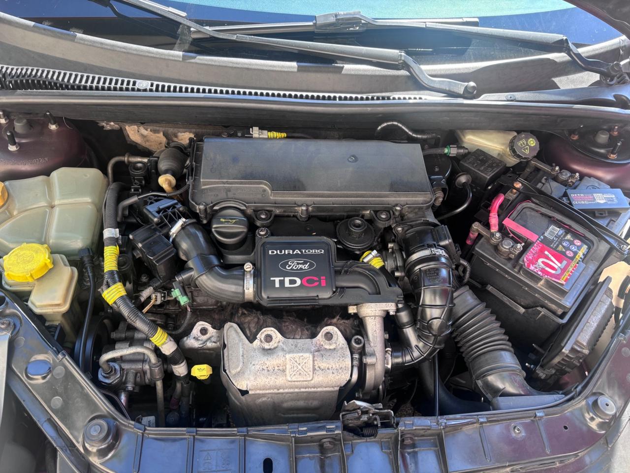 Ford Fiesta 1.4 TDCi 5p. Ghia