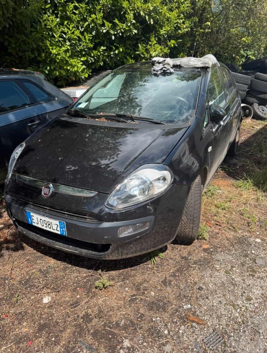 Fiat Punto Evo 1.3 Mjt 75 CV 5 porte
