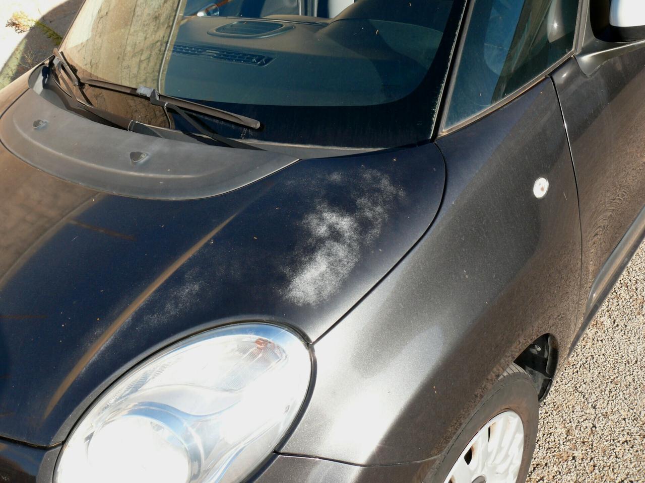 Fiat 500L 4 posti (N1) Autocarro (M1393)