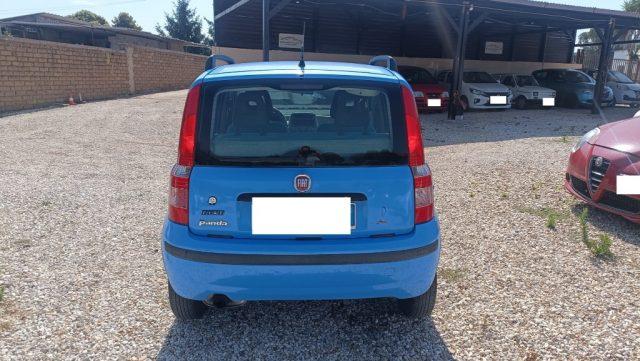 FIAT Panda GPL OPZIONALE MOTORE PERFETTO
