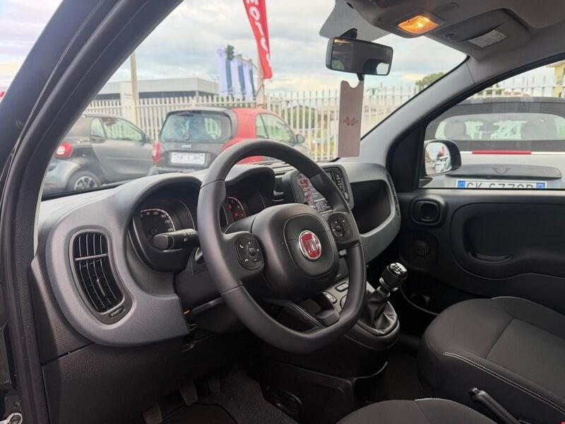 FIAT Panda Panda 1.0 firefly hybrid 70cv 5 POSTI, SENSORI PARCHEGGIO!