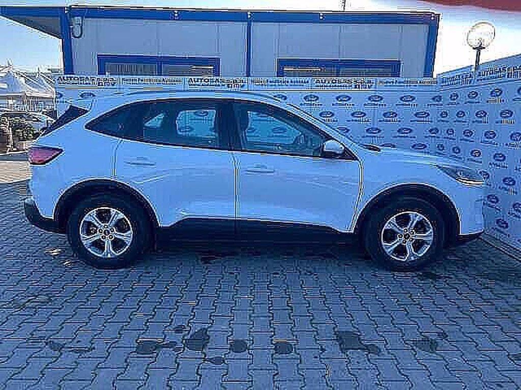 FORD Kuga 1.5 EcoBlue 120 CV 2WD Titanium Business del 2020