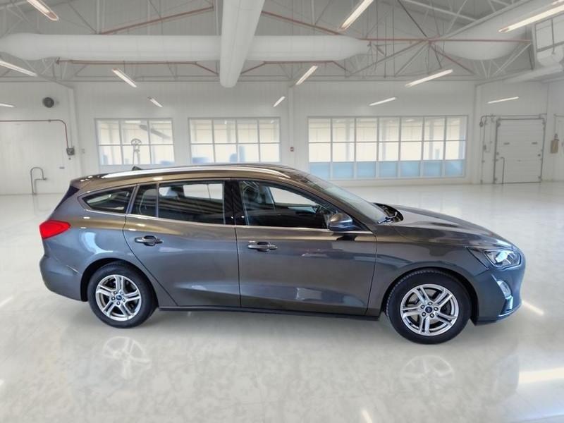 FORD FOCUS 1.5 ECOBLUE 120 CV BUSINESS SW STATION WAGON