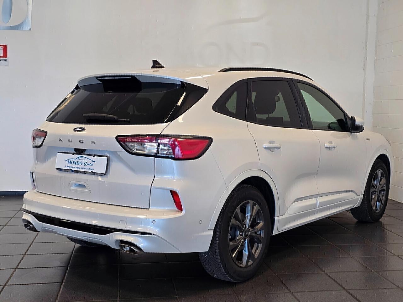 Ford Kuga 1.5 EcoBlue 120 CV aut. 2WD ST-Line X 2020