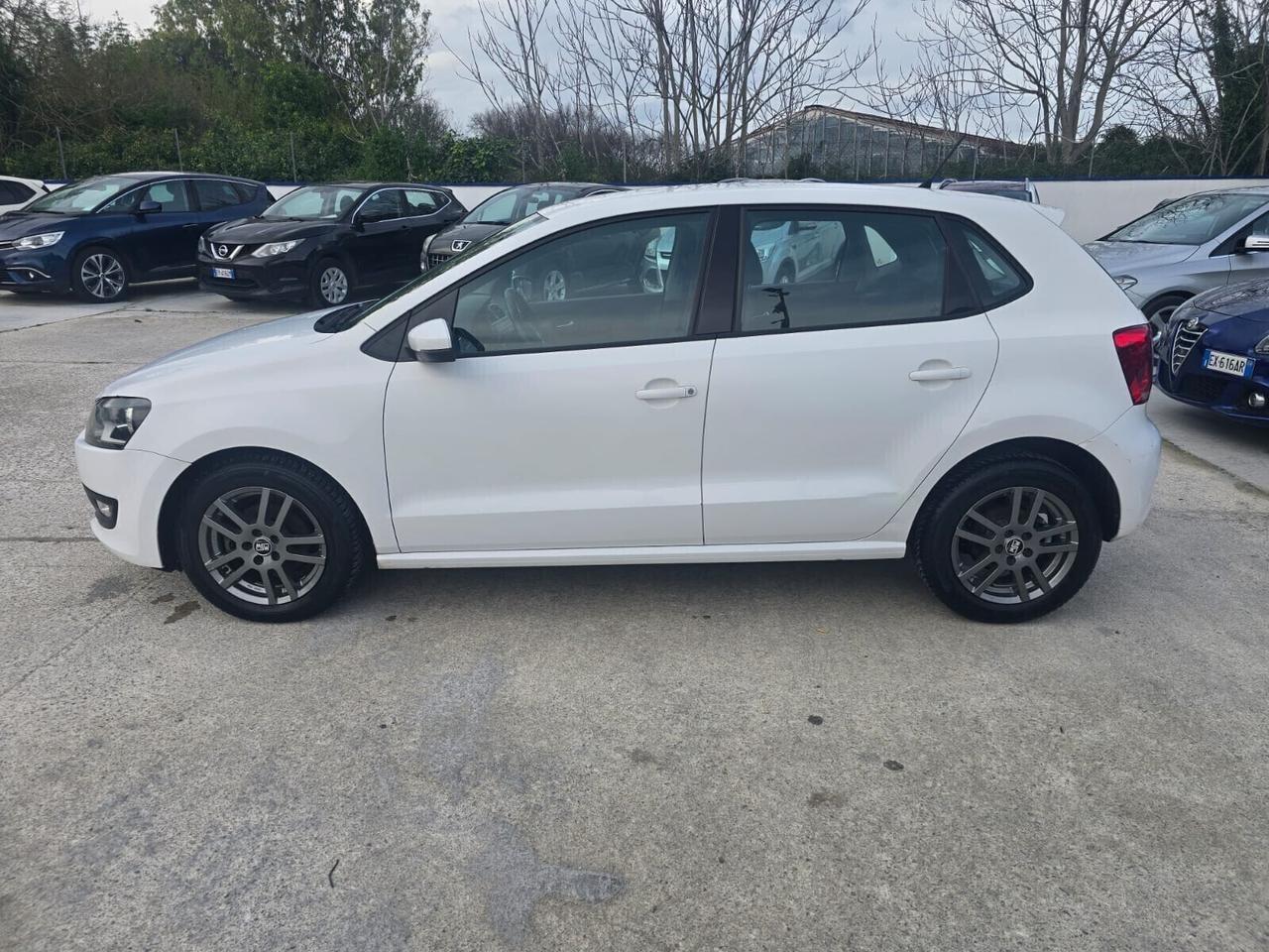 Volkswagen Polo 1.6 TDI 90CV DPF 5 porte Comfortli