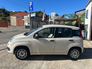 Fiat Panda 0.9 TwinAir Turbo S&S Lounge automatica