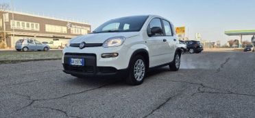 FIAT Panda Panda 1.0 FireFly S&S Hybrid