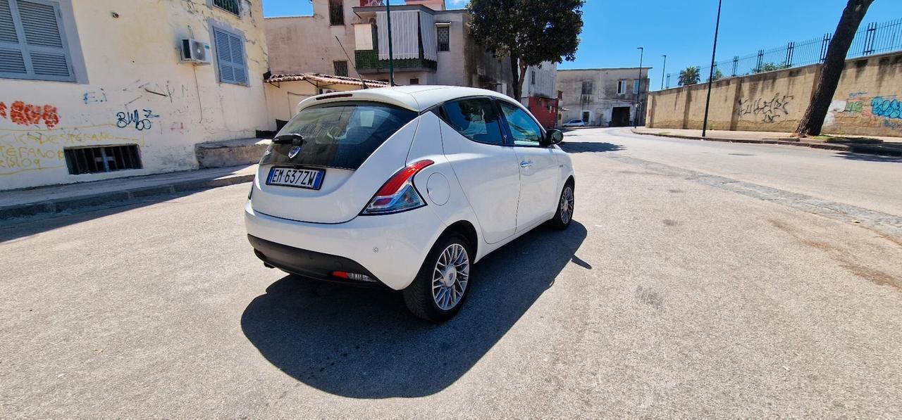 Lancia Ypsilon 1.3 MJT 16V 95 CV 5 porte S&S Platinum