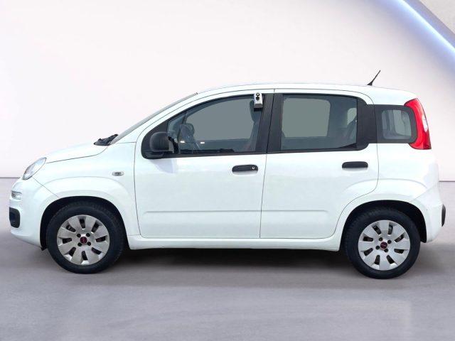 FIAT Panda 1.2 BENZ 69 CV Lounge ADATTA A NEOPATENTATI