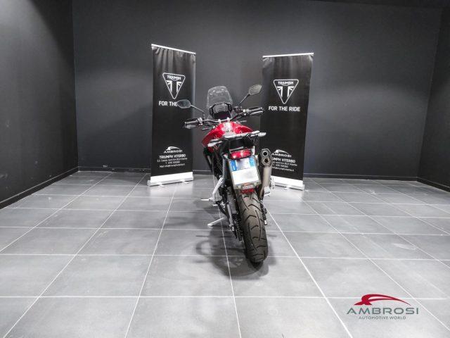 TRIUMPH Tiger 900 GT PRO