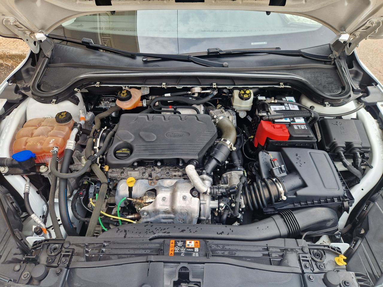 Ford Focus 1.5 EcoBlue 120 CV SW