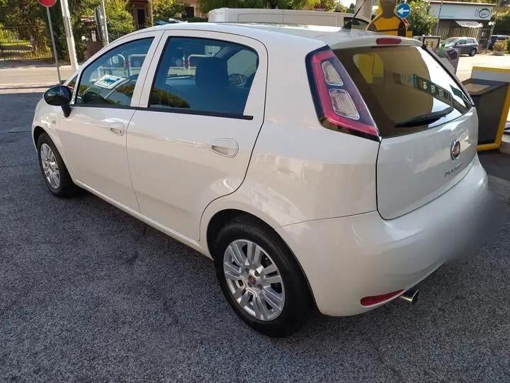 Fiat Punto 1.3 MJT II 75 CV 5 porte Street