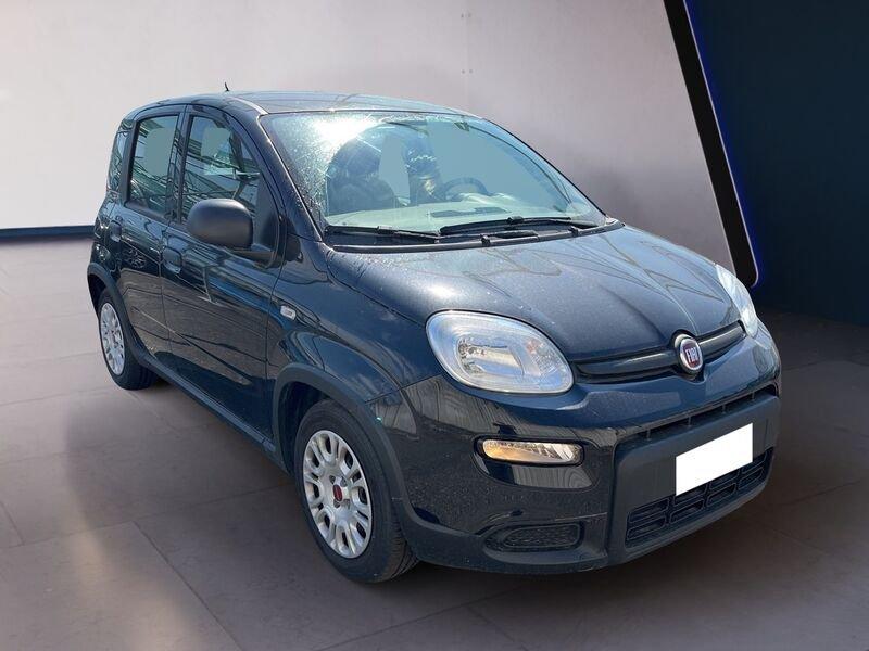 FIAT Panda My24 1.0 70cv Hybrid Panda