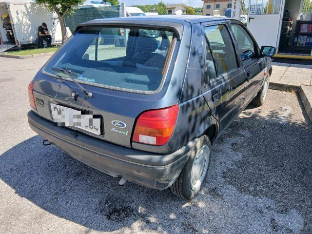 FORD Fiesta 1.3i cat 5 porte Newport