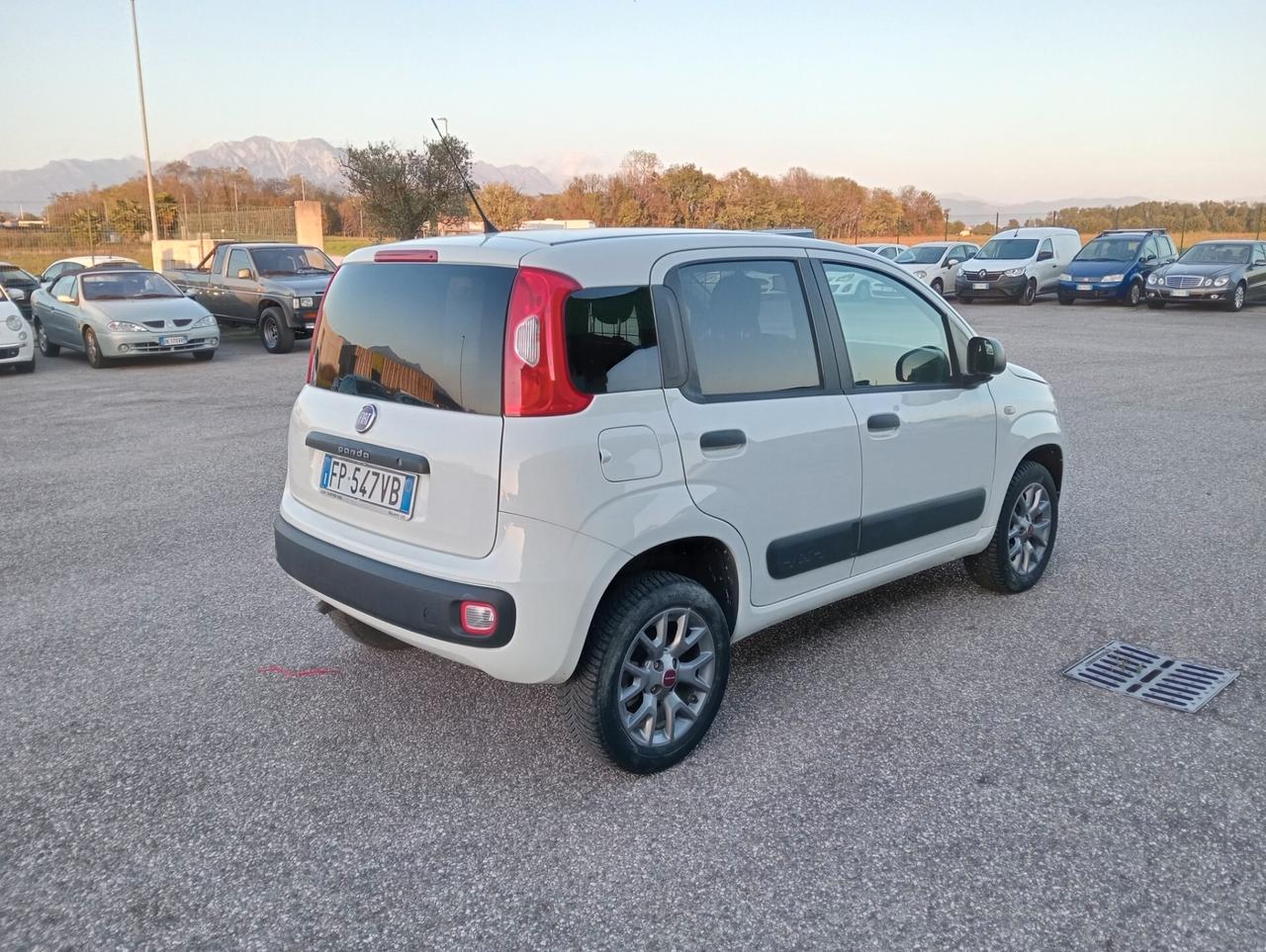 Fiat Panda 1.3 MJT 80CV 4x4 Van 2 posti