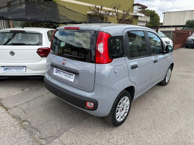 FIAT Panda 1.2 Easy CINGHIA FATTA