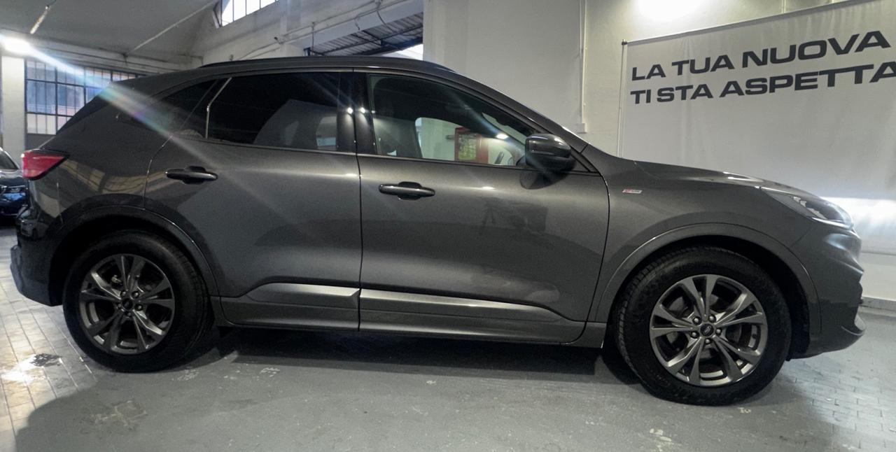 Ford Kuga 2.0 EcoBlue Hybrid 150 CV 2WD ST-Line