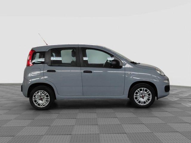 FIAT Panda Panda 1.2 Easy
