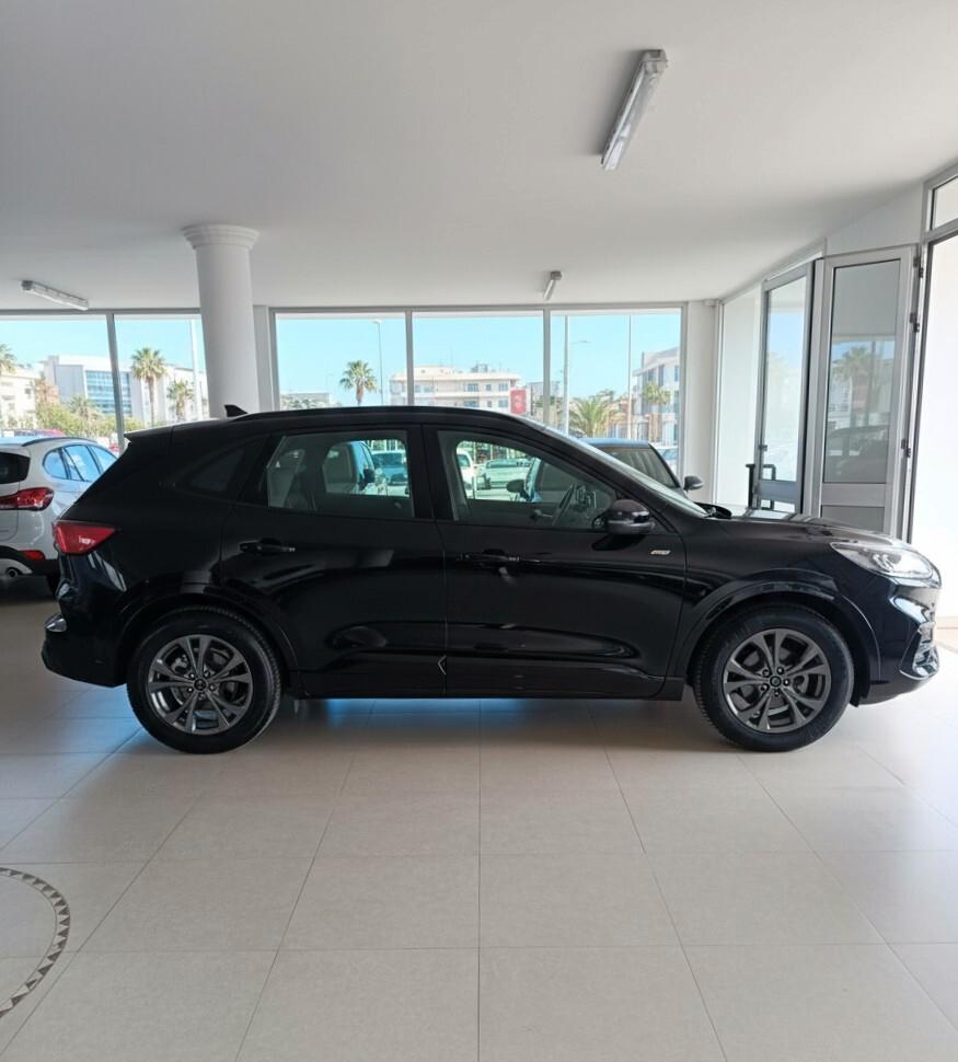 Ford Kuga 1.5 EcoBlue 120 CV aut. 2WD ST-Line