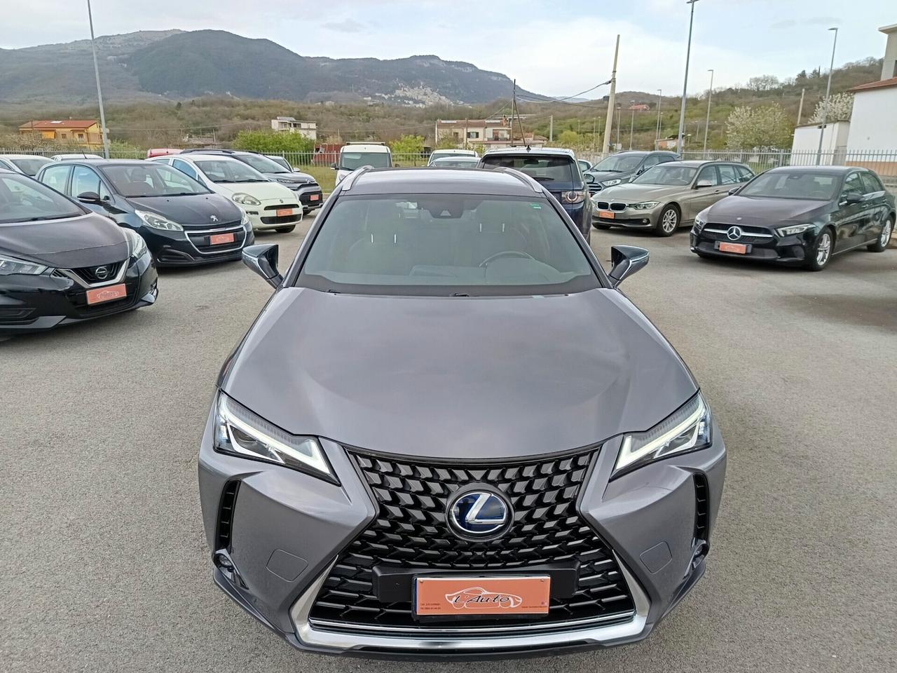 Lexus UX 250h 2.0 Business 2WD CVT MY20