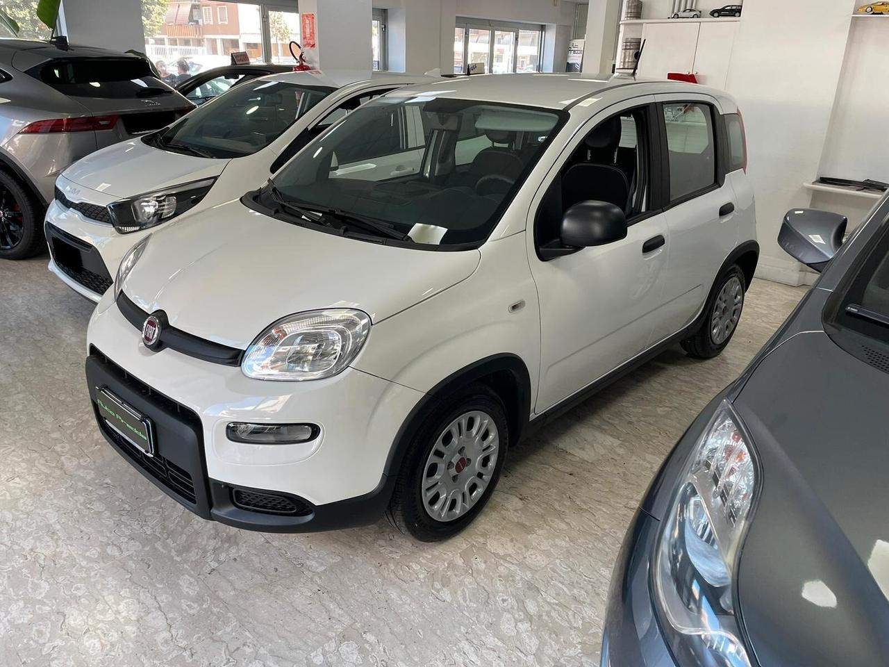 Fiat Panda 1.0 FireFly Hybrid EURO 6D