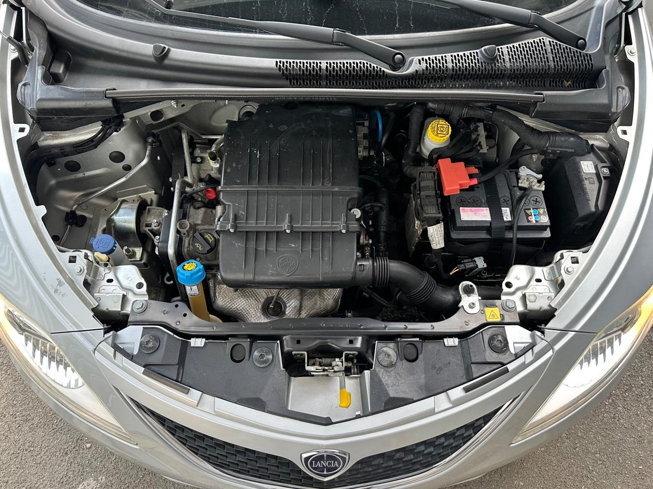 Lancia Ypsilon 1.2 benzina 69cv 5p. Gold