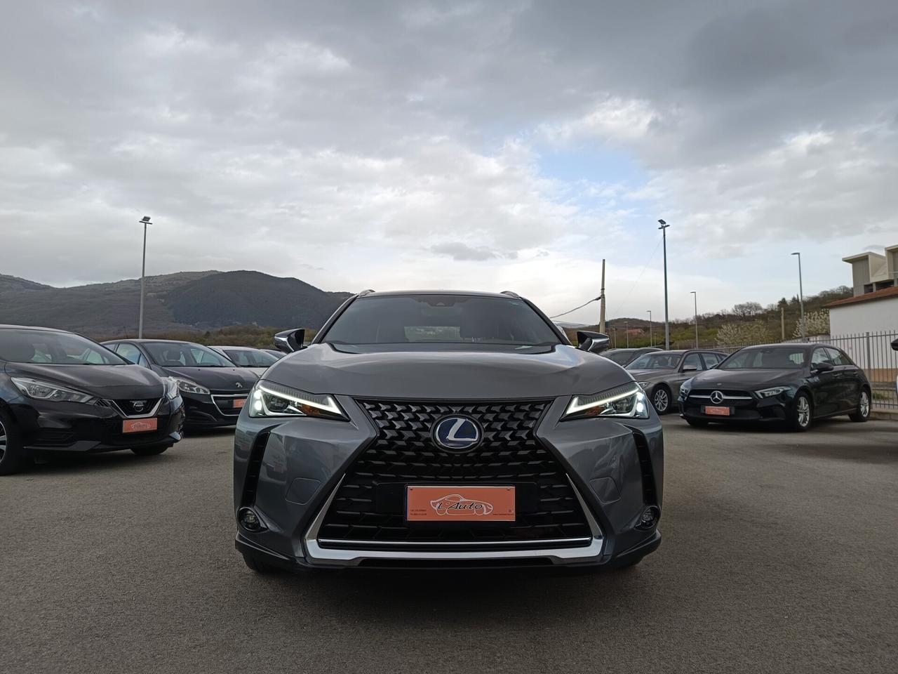 Lexus UX UX 250h 2.0 Business 2WD CVT MY20