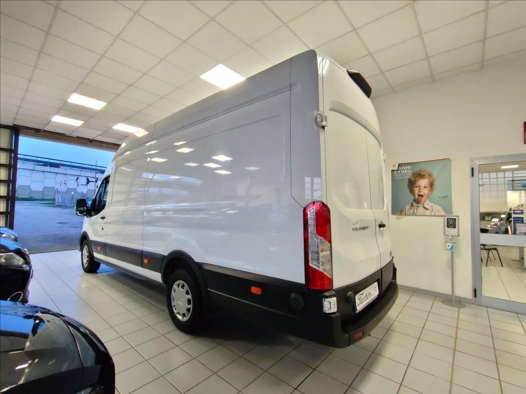 FORD Transit 350 T.Post 2.0 ecoblue 185cv jumbo trend L4H3 del 2019