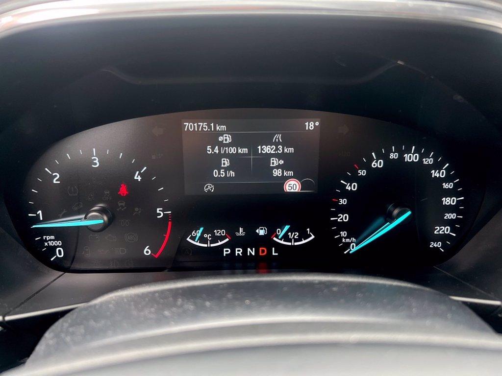 FORD Focus 1.5 EcoBlue 120 CV automatico 5p. Active Co-Pilot del 2021