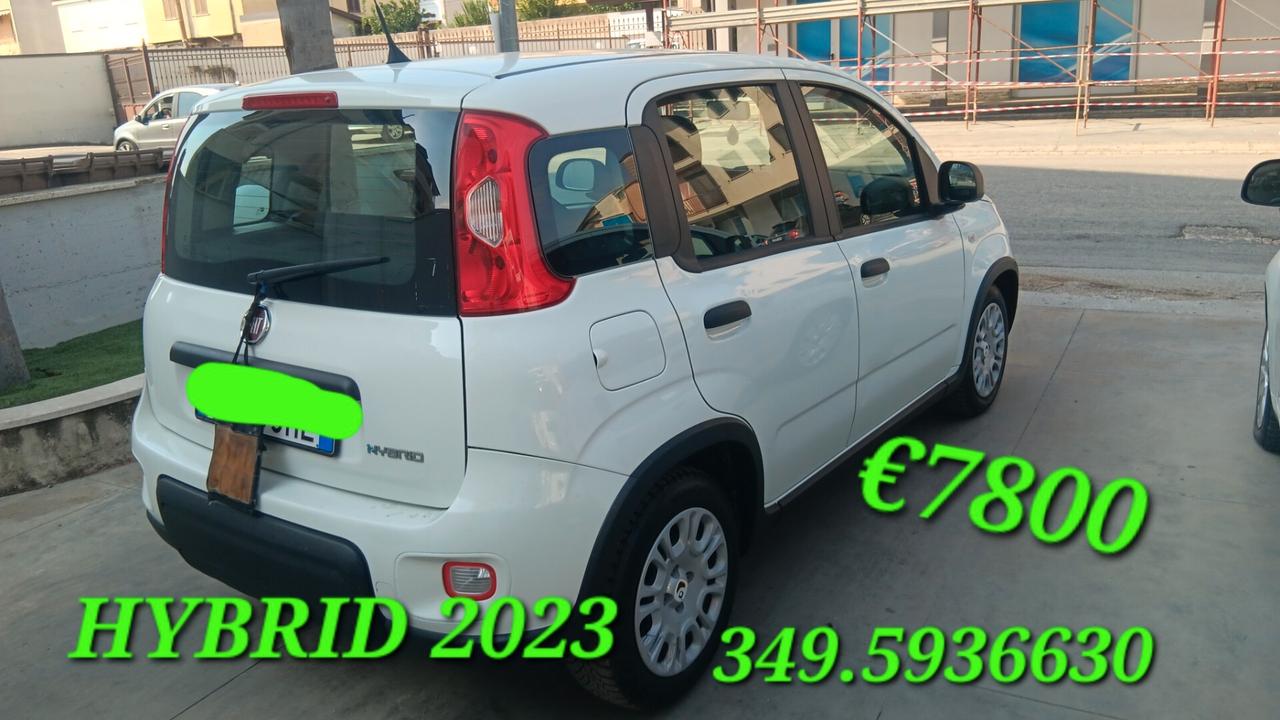 Fiat Panda usata mondialcars 023