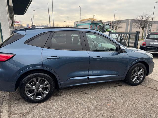 FORD Kuga 2.0 EcoBlue 120 CV aut. 2WD ST-Line