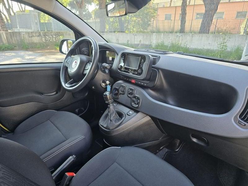 FIAT Panda 1.0 FireFly 70cv S&S Hybrid Pop