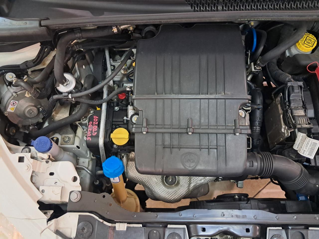 Lancia Ypsilon 1.2 69 CV 5 porte GPL Ecochic Gold