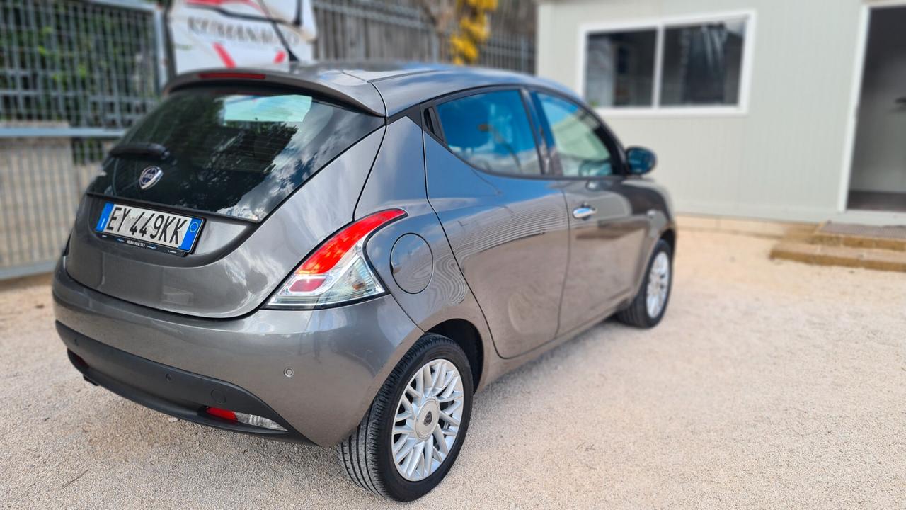 Lancia Ypsilon 1.3 MJT 16V 95 CV 5 porte S&S Platinum