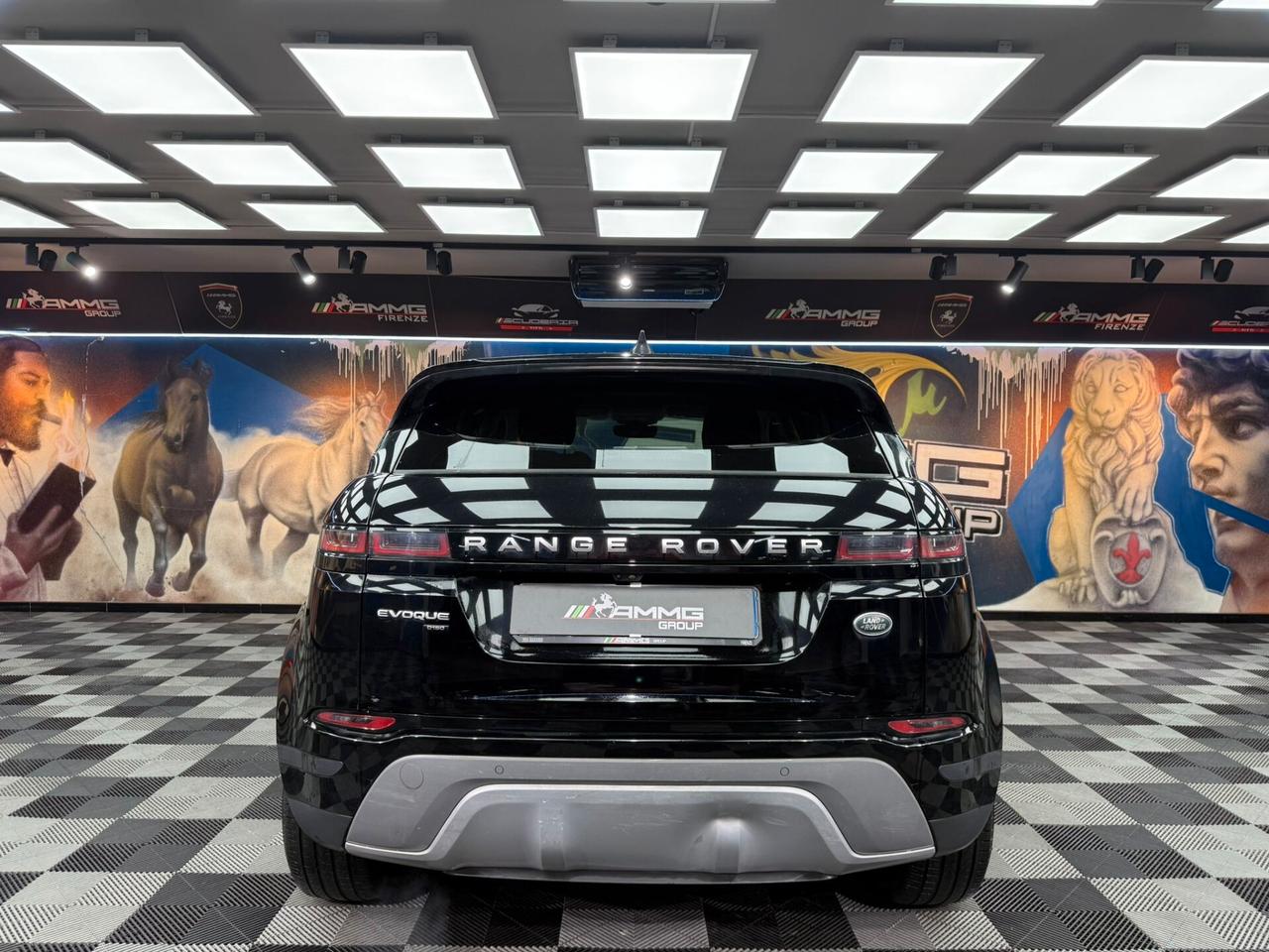 Land Rover Range Evoque 2.0D I4-L.Flw 150 CV (204)