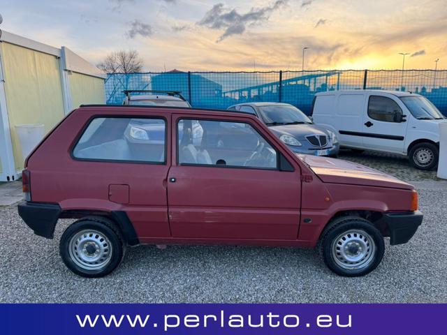 FIAT Panda 1ª serie 1100 i.e. cat Young
