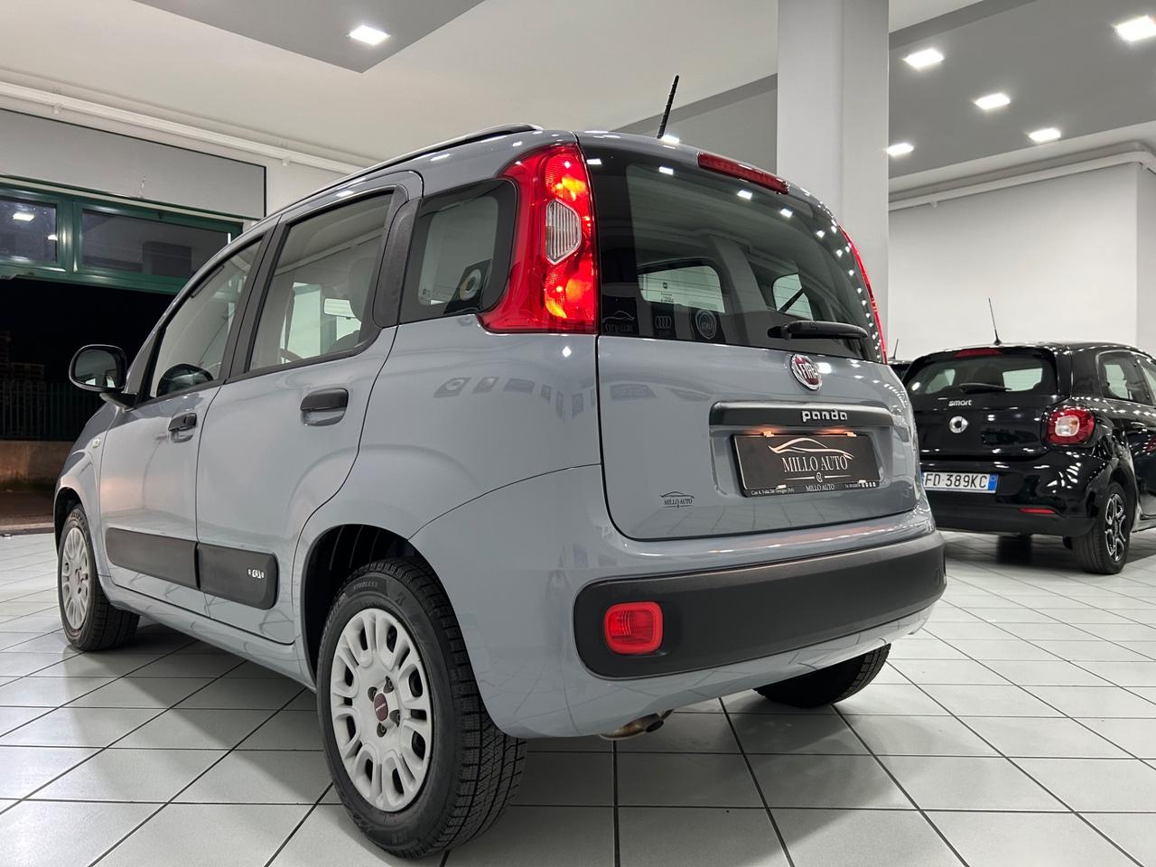 Fiat Panda 1.2cc 69cv Easy UNICO PROPRIETARIO
