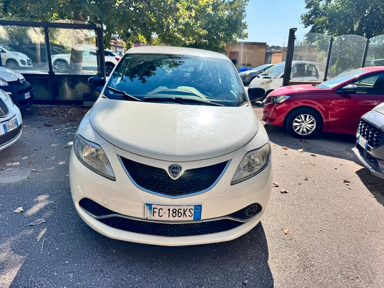 Lancia Ypsilon 1.3 MJT 16V 95 CV 5 porte S&S Platinum