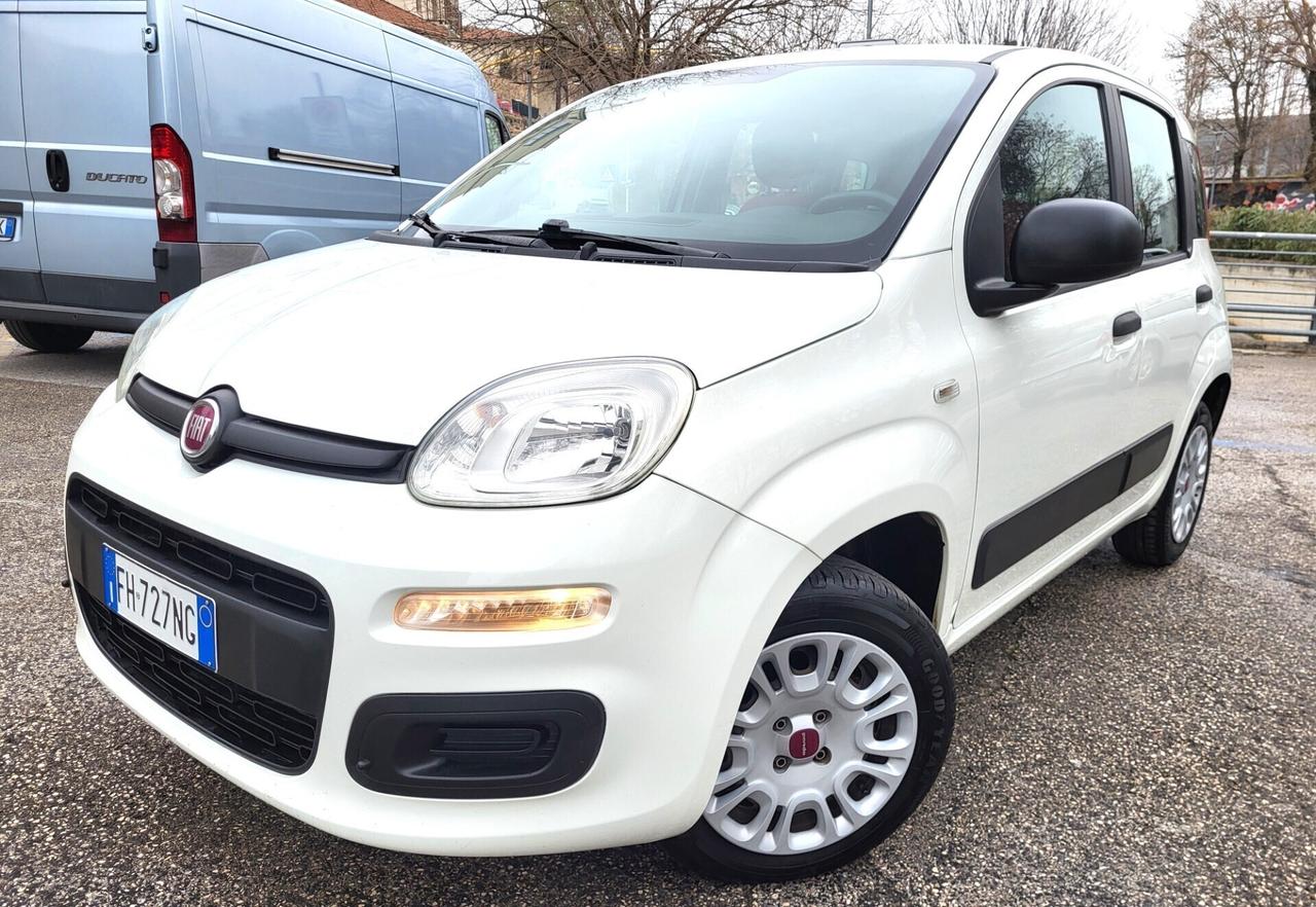 FIAT PANDA 1200-UNICA PROPRIET-FOTO 3 REVISIONI