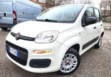 FIAT PANDA 1200-UNICA PROPRIET-FOTO 3 REVISIONI
