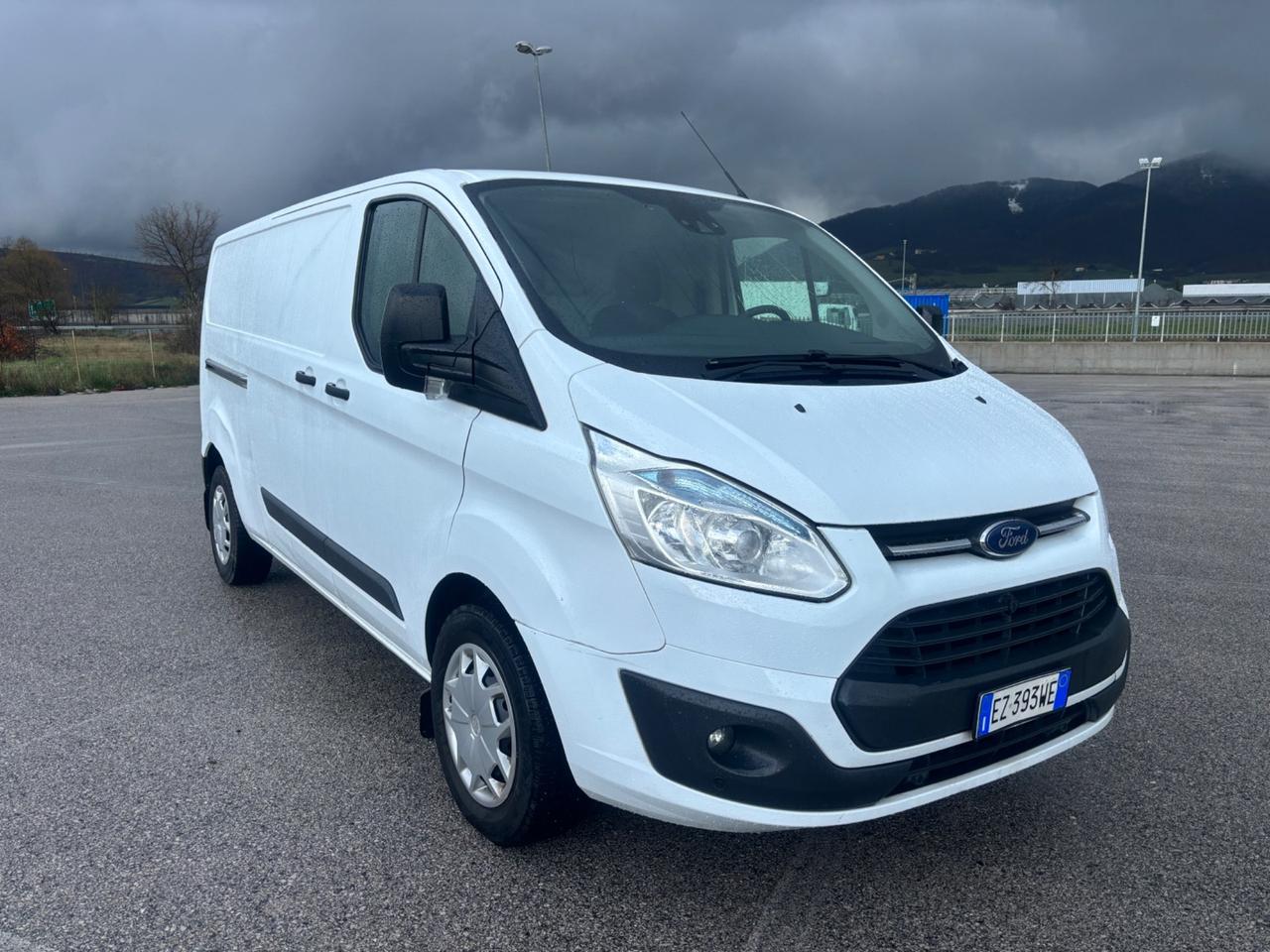 Ford transit castum